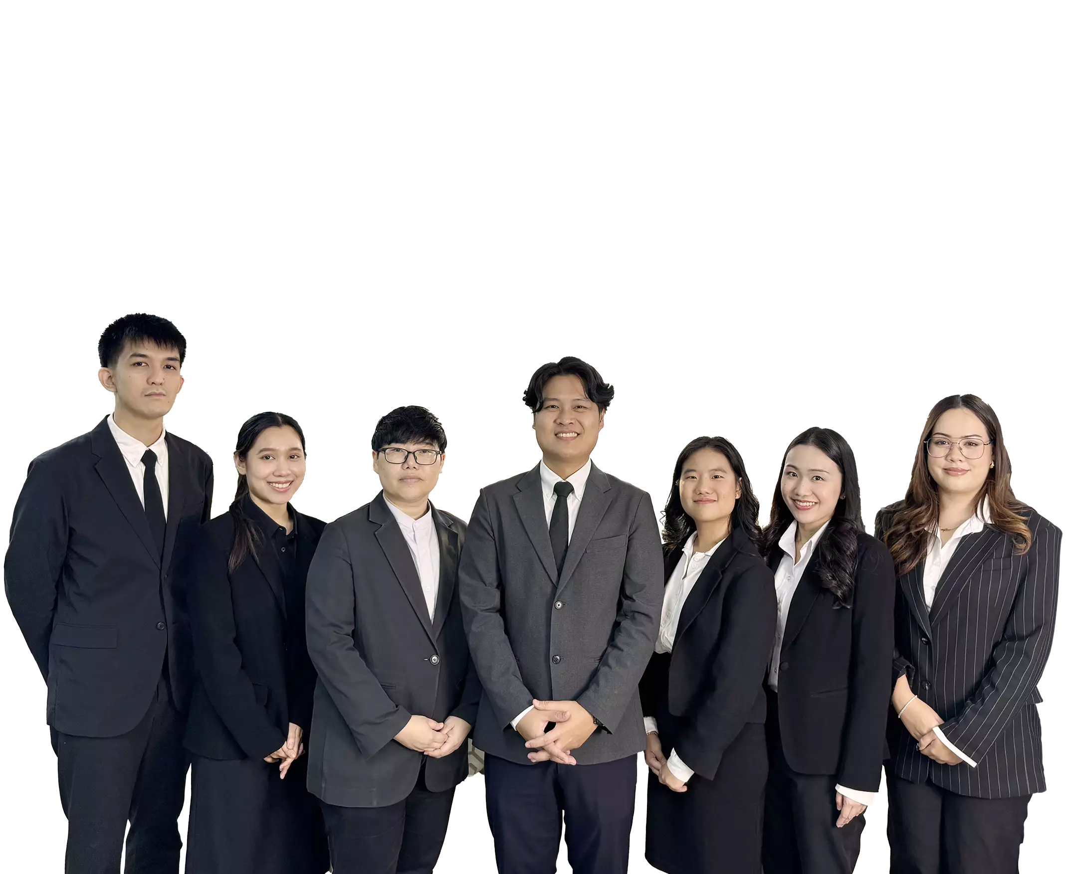 Litigation Team